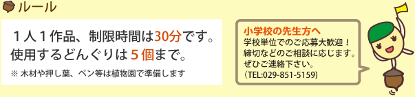 ルール：1人1作品、制限時間は30分です。使用するどんぐりは5個まで。※木材や押し葉、ペン等は植物園で準備します[小学校の先生方へ]学校単位でのご応募大歓迎！締切などのご相談に応じます。ぜひご連絡下さい。TEL:029-851-5159