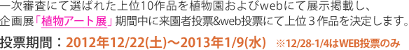 一次審査にて選ばれた上位10作品を植物園およびwebにて展示掲載し、企画展「植物アート展」期間中に来園者投票&web投票にて上位３作品を決定します。投票期間は2012年12月22日火曜から1月9日水曜までです