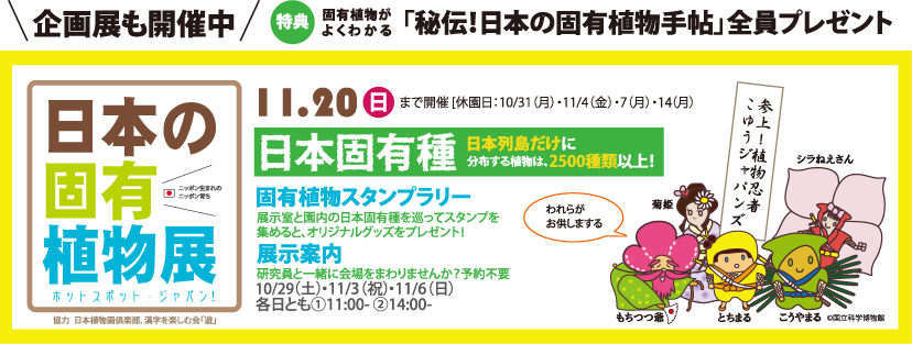 日本の固有植物展