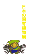 日本の固有植物展・展示案内