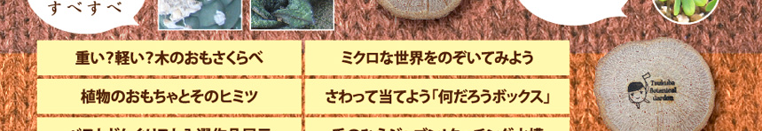 植物のおもちゃとそのヒミツ・さわって当てよう「何だろうボックス」・ベストどんぐりスト入選作品展示・手のひらジャブン！タッチング水槽