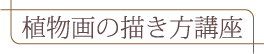 植物画の描き方講座