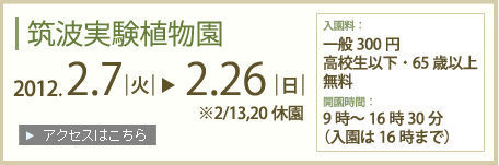 筑波実験植物園2012年2月7日～2月26日まで(2/13,20休園)入園料：一般300円高校生以下・65歳以上無料　開園時間：9時～16時30分(入園は16時まで)