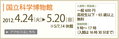 国立科学博物館2012年4月24日～5月20日まで(5/7,14休館)入館料(常設展)：一般600円高校生以下・65歳以上無料　開館時間：9時～17時(入館は16時30分まで)