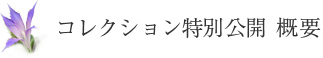 コレクション特別公開 概要