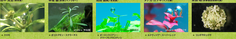 水草写真：田中法生(研究者)早坂誠(水草レイアウター)池田晶紀(写真家)タナカカツキ(マンガ家)永田翔(水草保全団体代表)