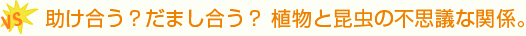 助け合う？だまし合う？ 植物と昆虫の不思議な関係。