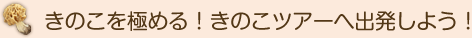 きのこを極める！きのこツアーへ出発しよう！