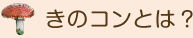 きのコンとは？