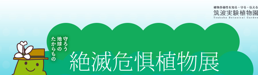 守ろう地球のたからもの「絶滅危惧植物展 2013」