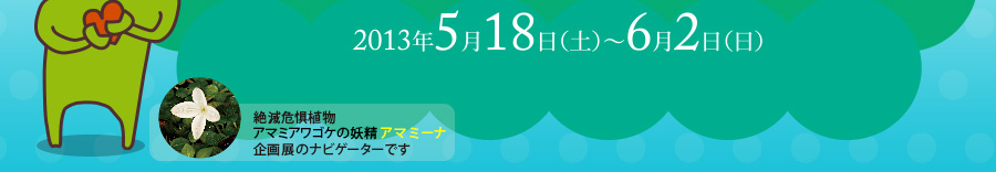 2013年5月18日（土）～6月2日（日）