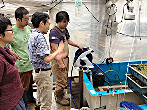 水草展はあと二ヶ月！：水草の栽培育成に挑戦中