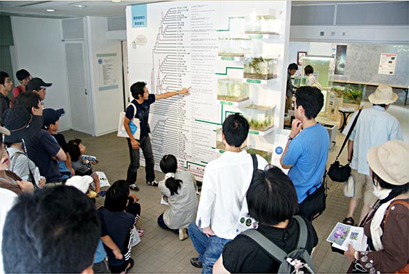 2011年の水草展の様子