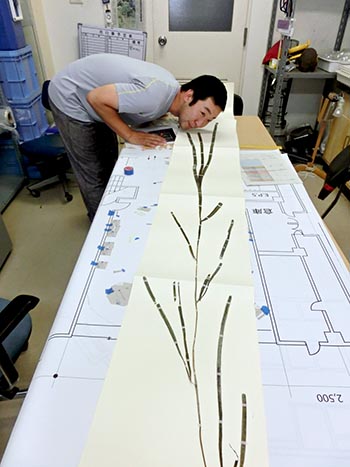 2011年の水草展の様子