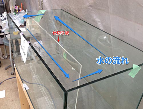 流れを見せる水草の水槽