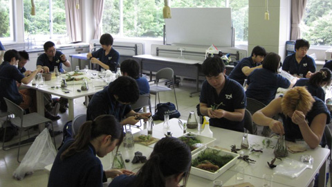 東京コミニュケーションアート専門学校の学生さんたち
