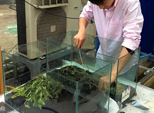 暫定完成版の図面