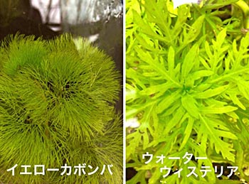 暫定完成版の図面