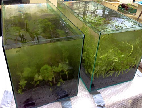 暫定完成版の図面