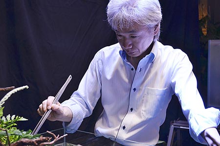 水草水槽の作成中