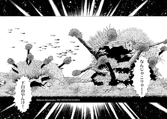 自由すぎる水草水槽