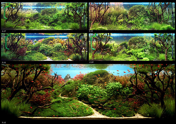 水景画のできるまで２