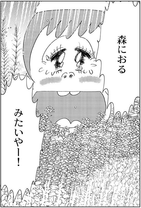 森におる みたいやー！