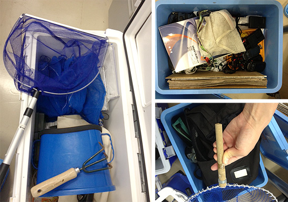 水草採集アイテム