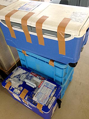 水草採集アイテム