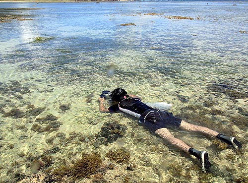 西表島で調査中の田中博士