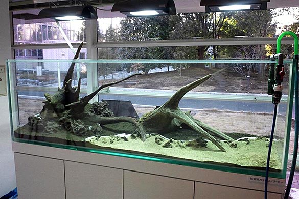 微速度撮影水槽1