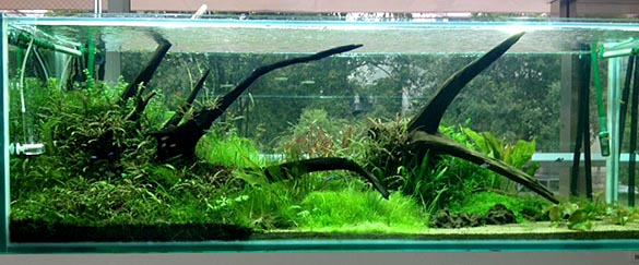 微速度撮影水槽2