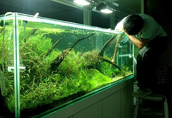 微速度撮影水槽3