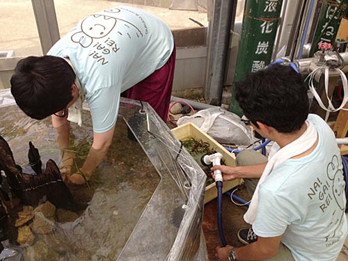 流れる水槽設置風景