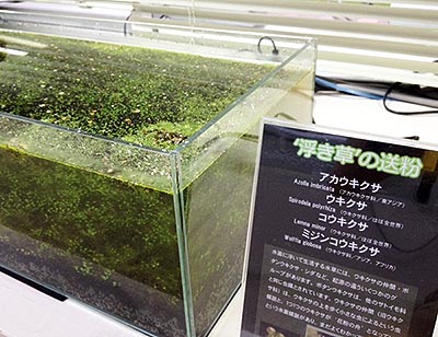 アクアスロープ