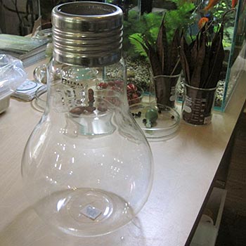 光りません。水槽です