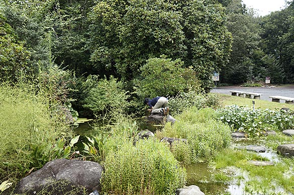 エビモを探す田中先生