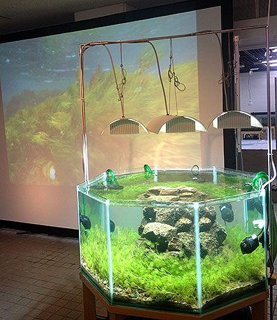 水草展会場風景