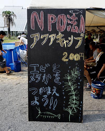 水草池でエビやメダカをつかまえよう