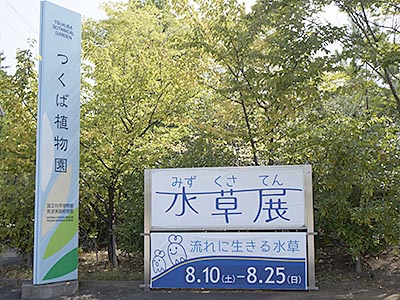 開園時間は9時~17時