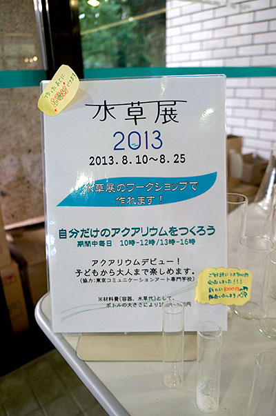 アクアリウムのワークショップ