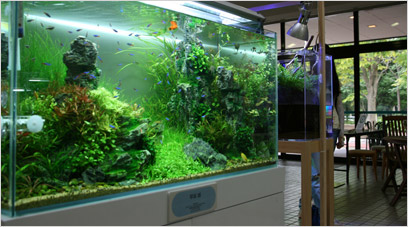 アクアリウム展示