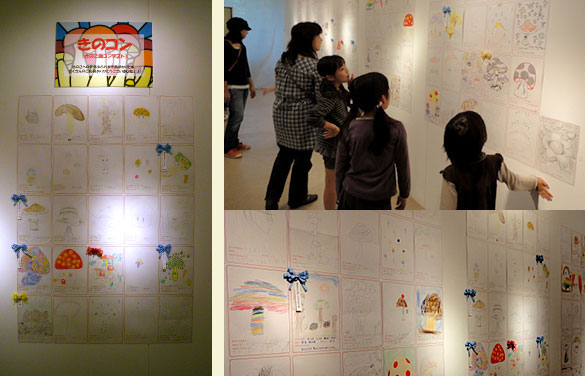 きのコンの様子