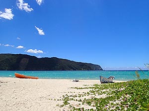 奄美大島のビーチ