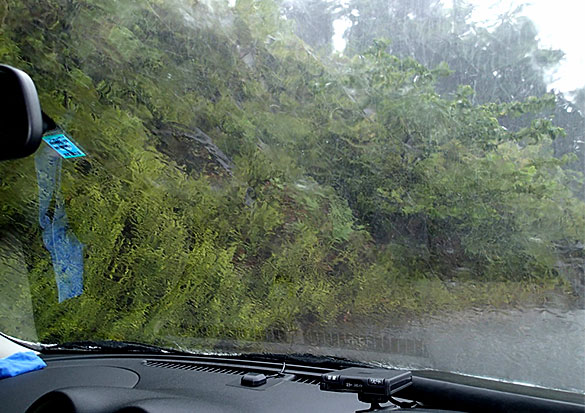 屋久島初日は雨模様