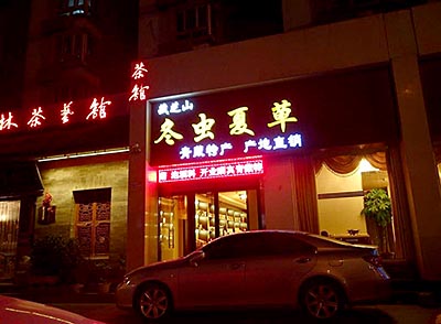 冬虫夏草の専門店