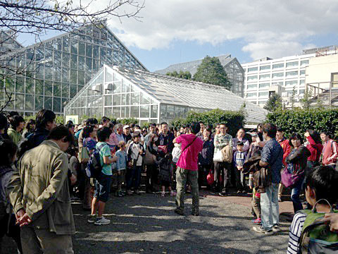 野外でのきのこ案内