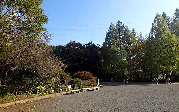 閉園間近の植物園