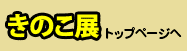 きのこ展トップへ