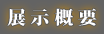 展示概要